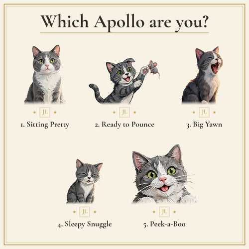 Which Apollo are you? The five Apollo poses: Sitting Pretty, Ready to Pounce, Big Yawn, Sleepy Snuggle and Peek-a-Boo
