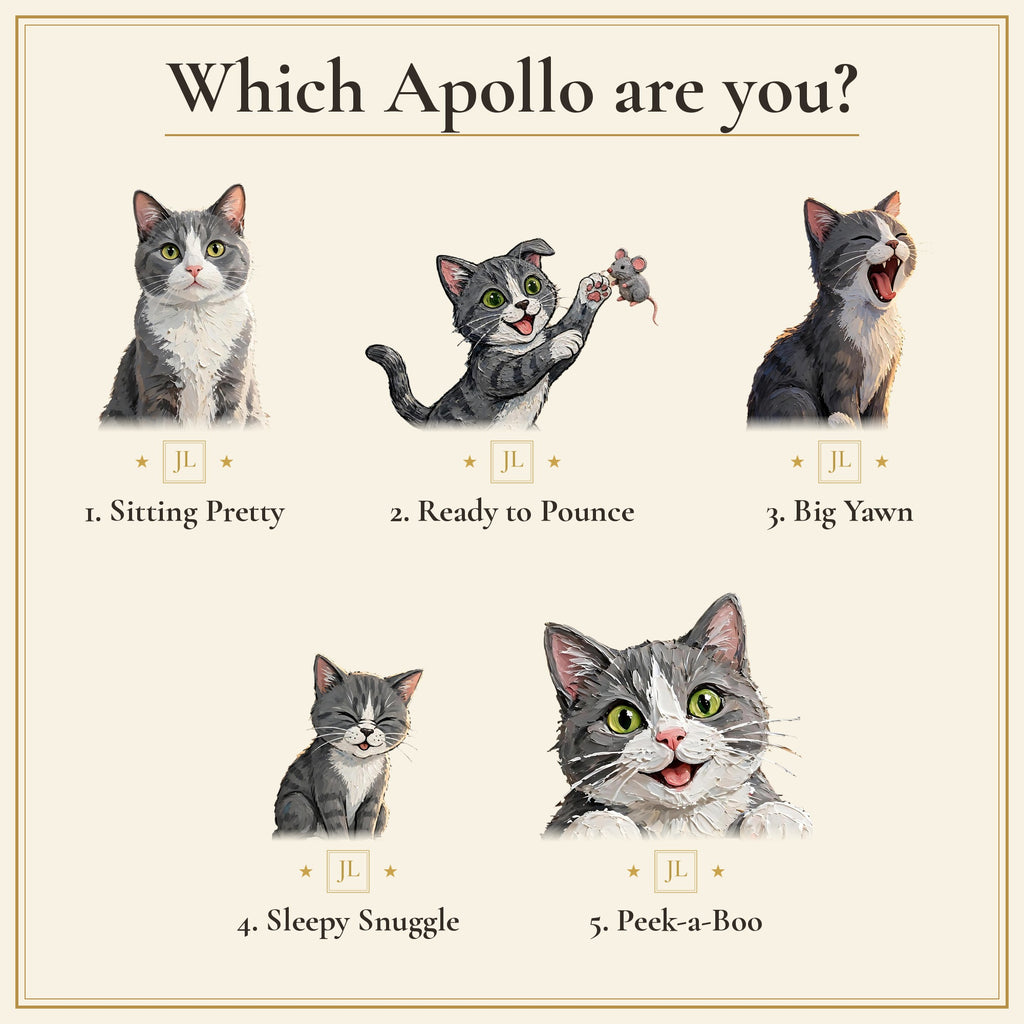 Which Apollo are you? The five Apollo poses: Sitting Pretty, Ready to Pounce, Big Yawn, Sleepy Snuggle and Peek-a-Boo